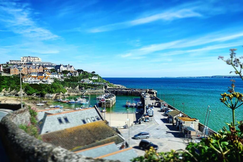 Newquay Fish Festival