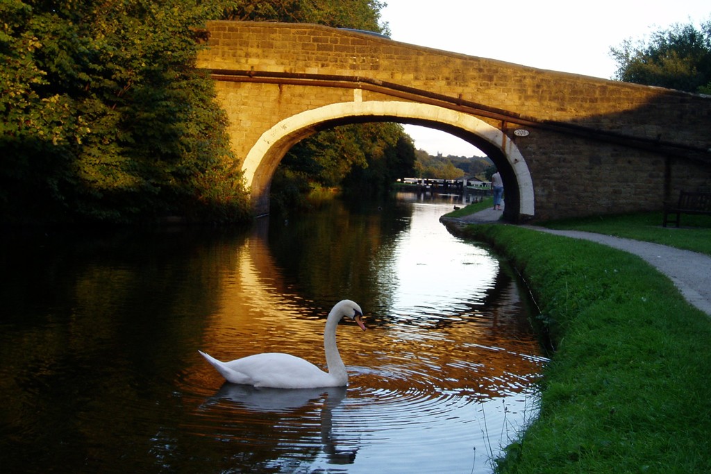 Aire Valley Towpath