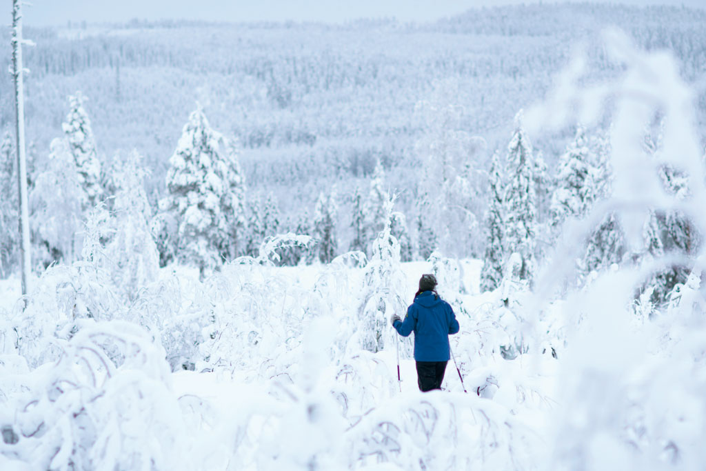 Umeå Travel Guide: Exploring Sweden's Lapland City