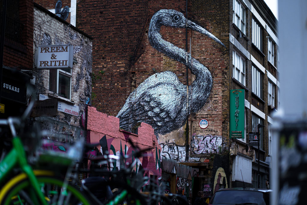 ROA