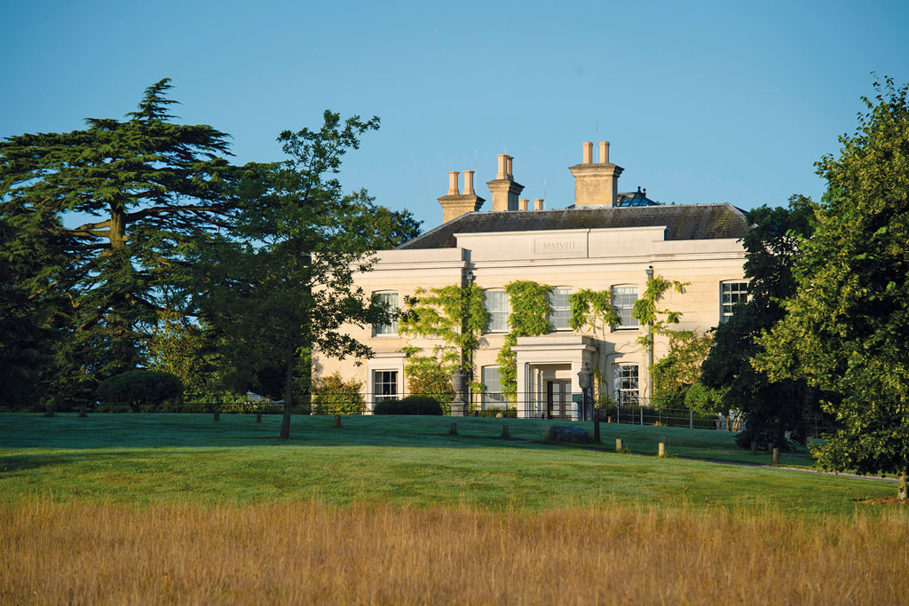 Where to Stay and Eat in the New Forest