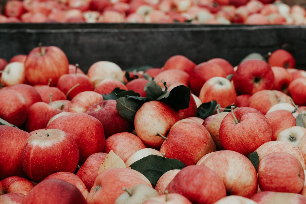 Apples
