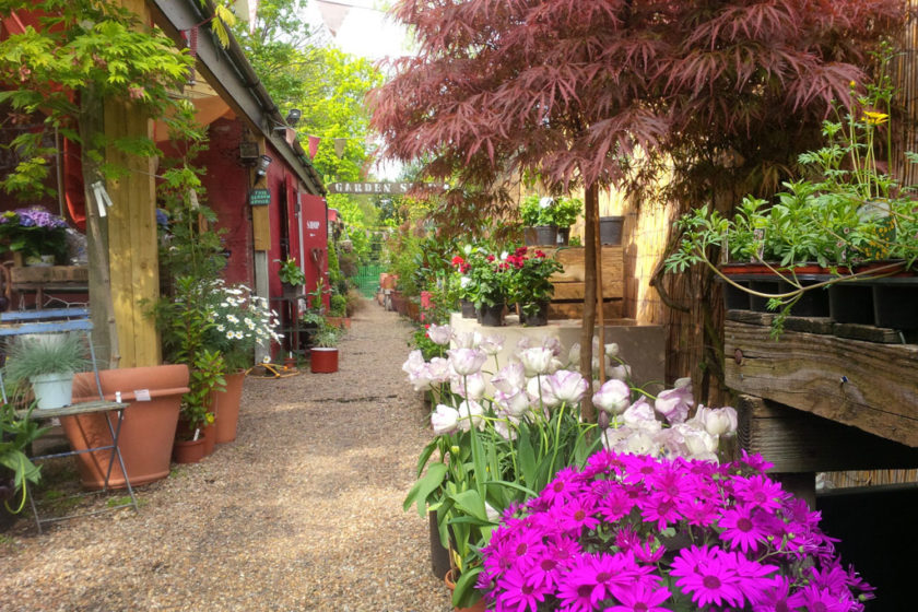 Where To Buy Christmas Trees In London 2023