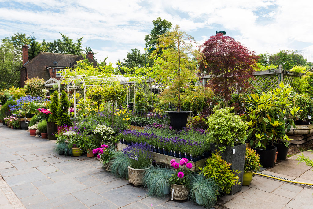 The Palace Gardener garden centre