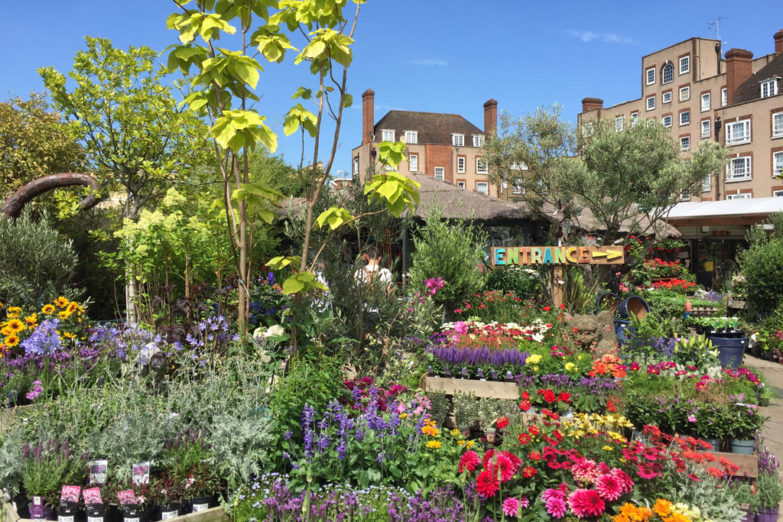 The Best Garden Centres in London Culture Country & Town House
