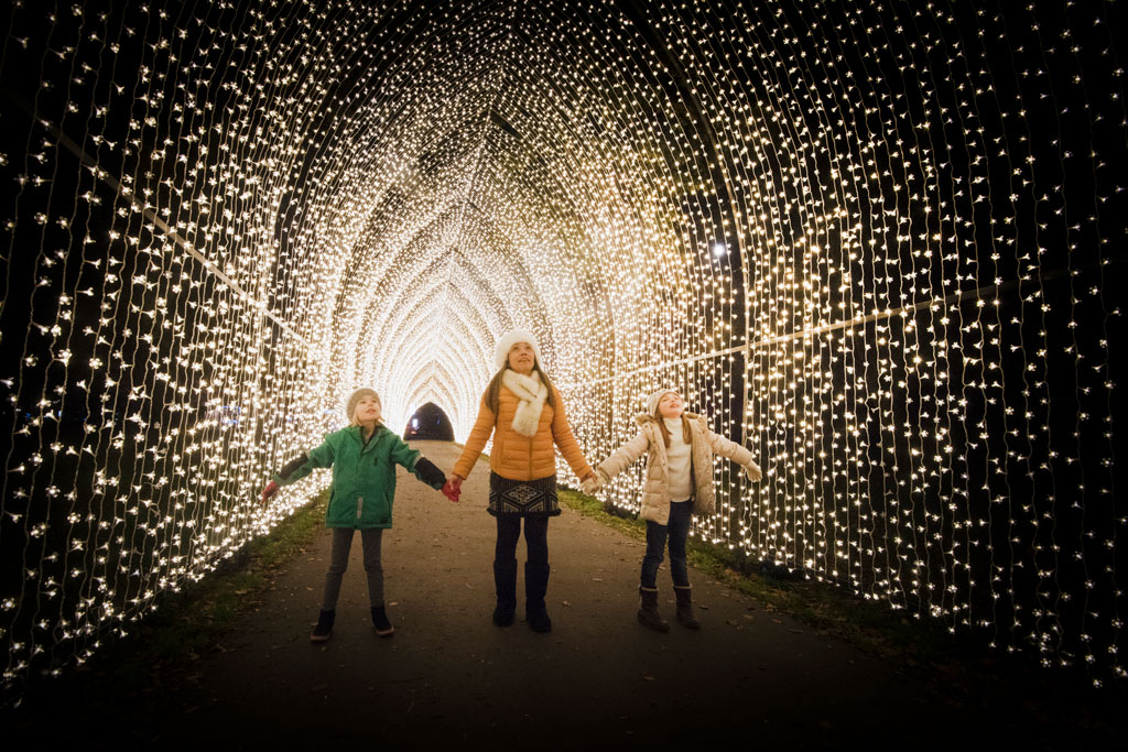 Christmas at Kew