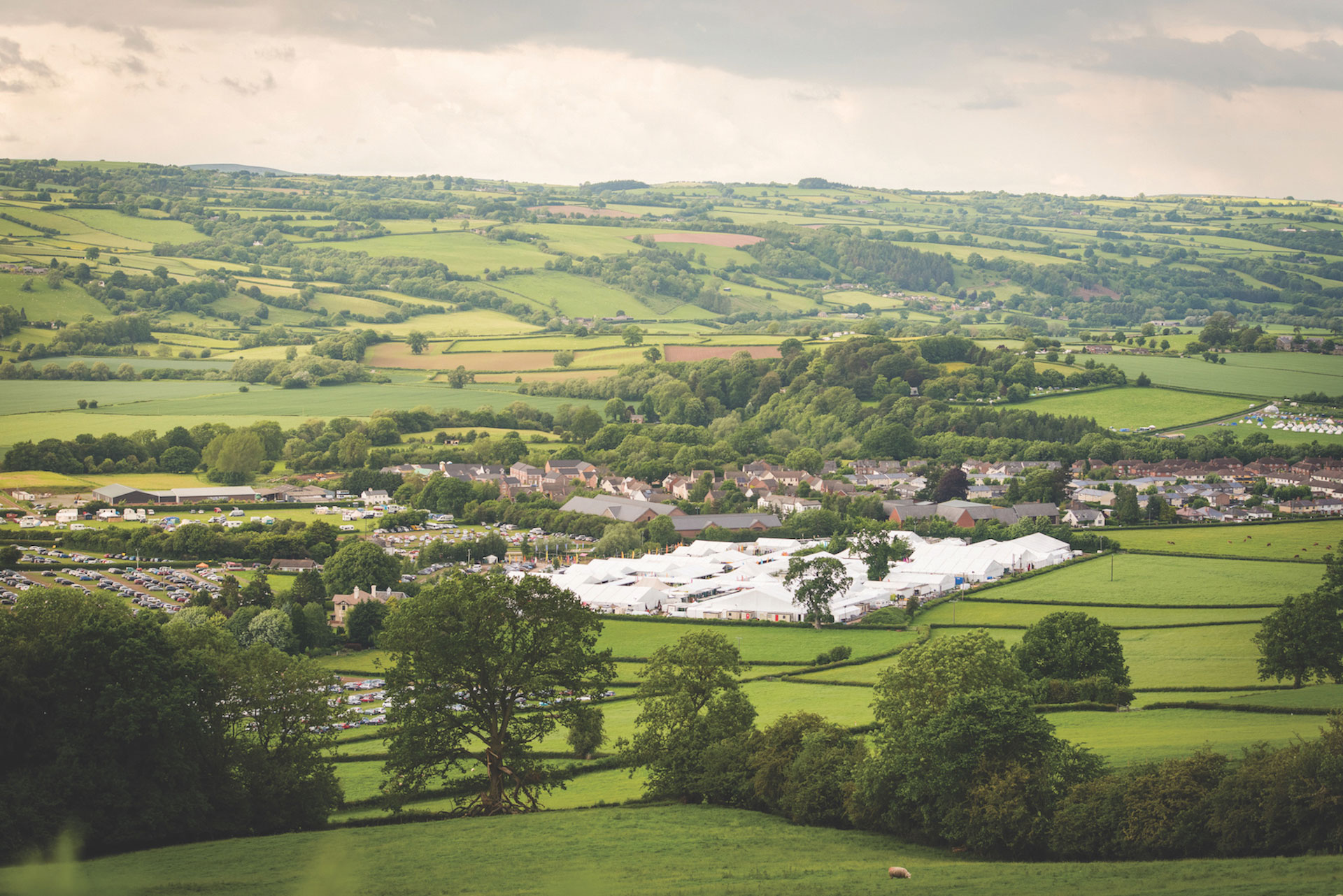 hay festival