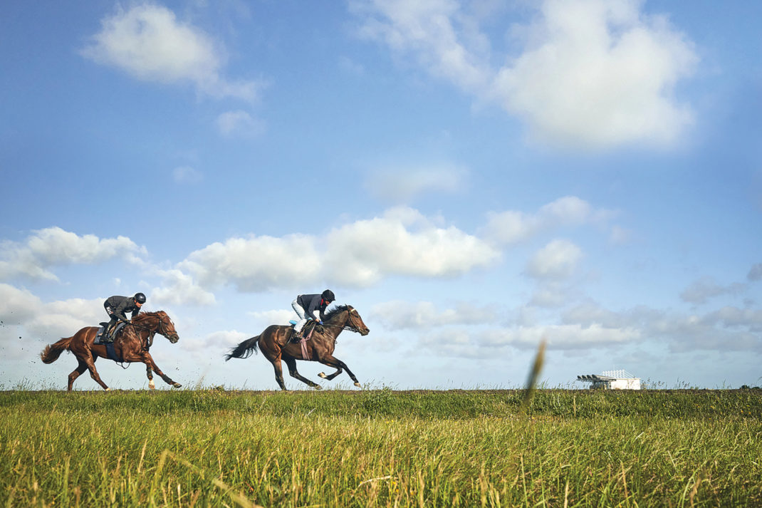 Horses gallop on Newmarket Heath (Great British Racing International)