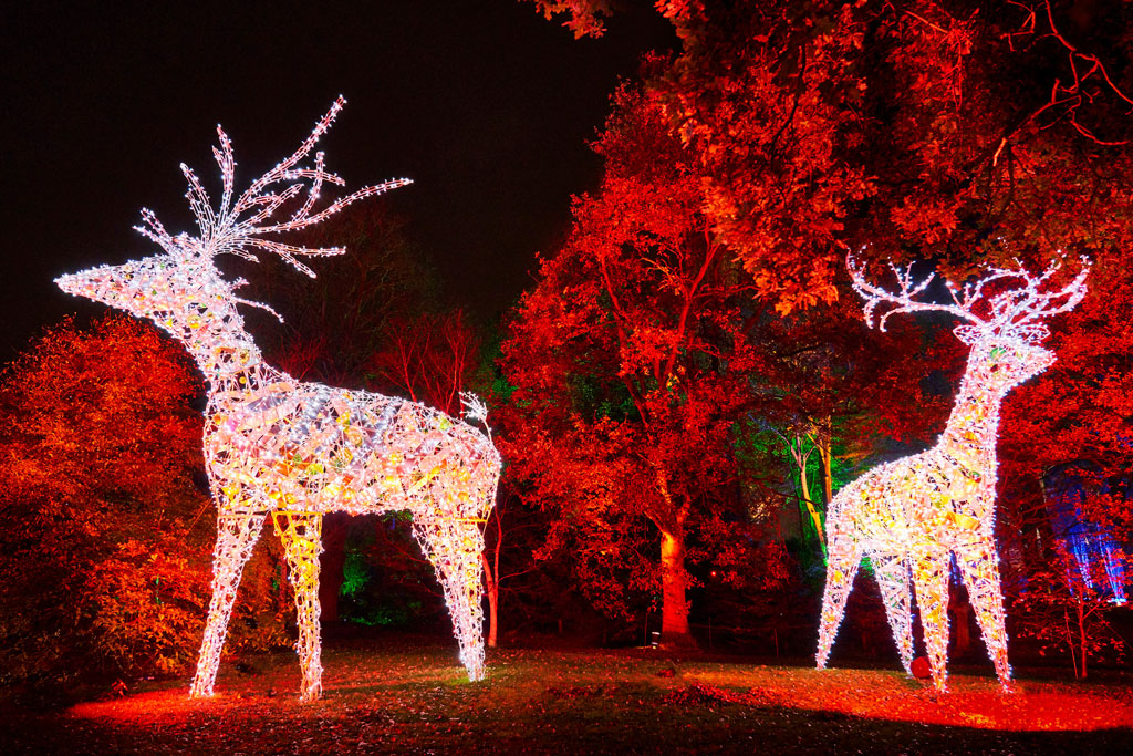 Dunham Massey
