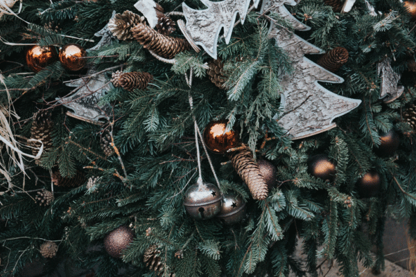 Best Places To Buy Christmas Trees In London - Garden Centres London