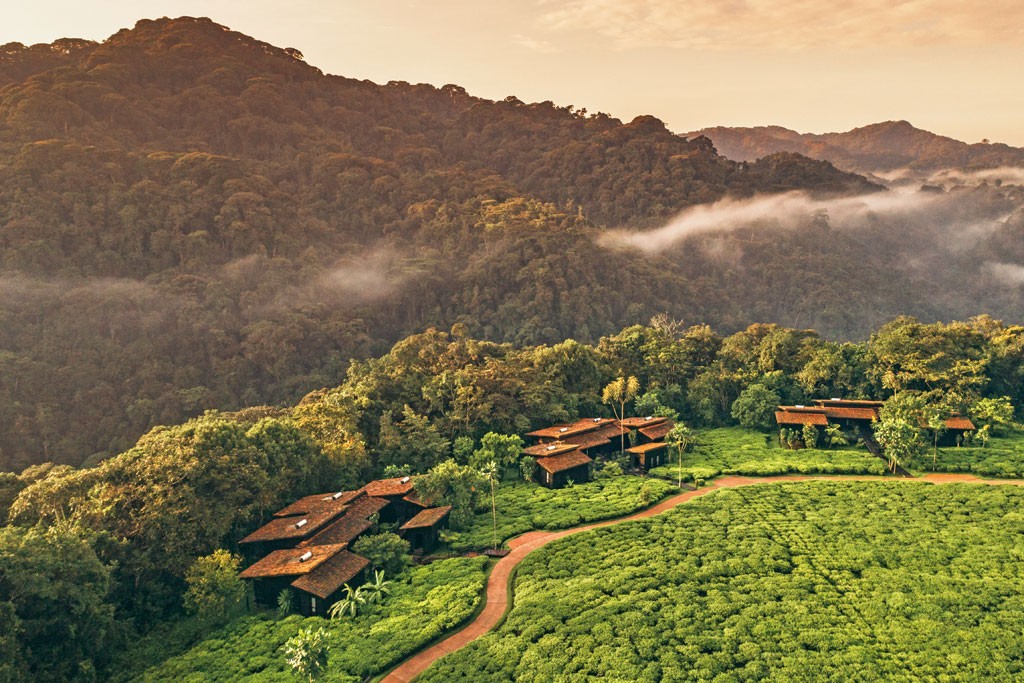 One&Only Nyungwe House