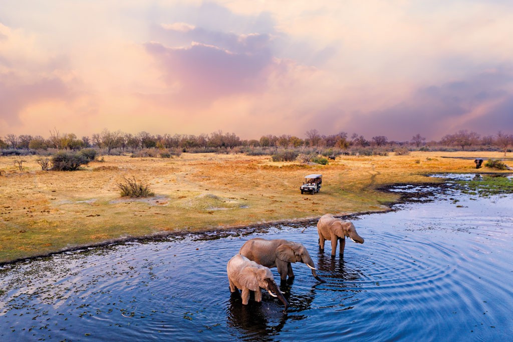 Winter Sun: Where To Stay In Africa