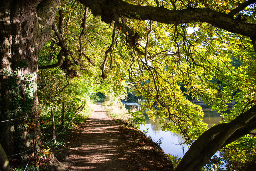 The Thames Path