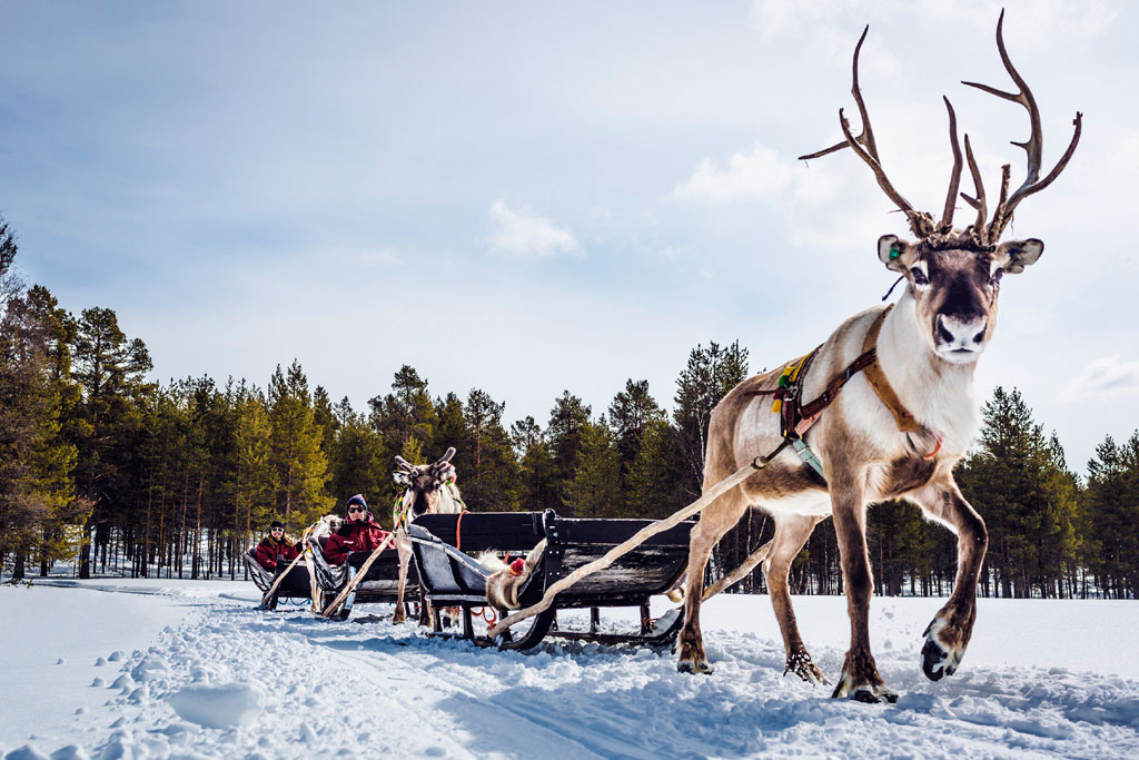 Finland: The Happiest Country in the World