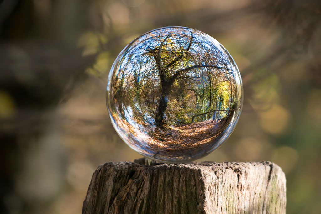 Sustainablility