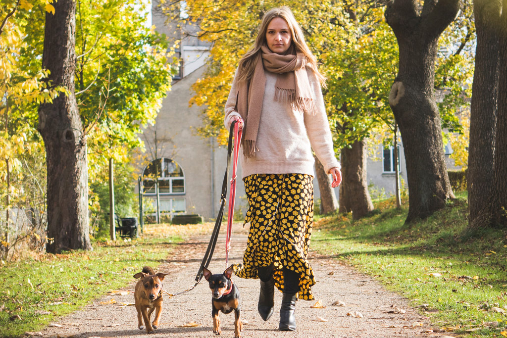 The Best Dog Walks in London