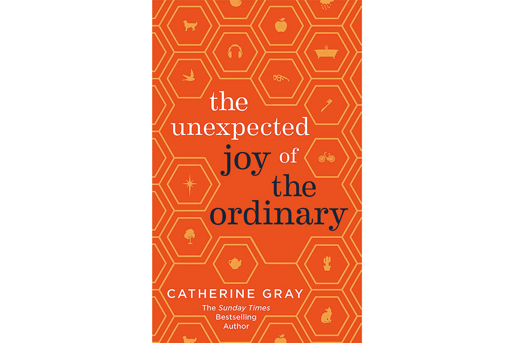 The Unexpected Joy of the Ordinary