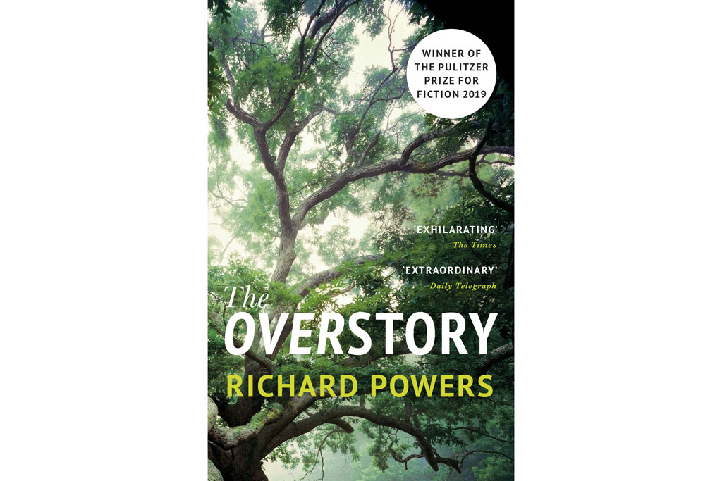 The Overstory