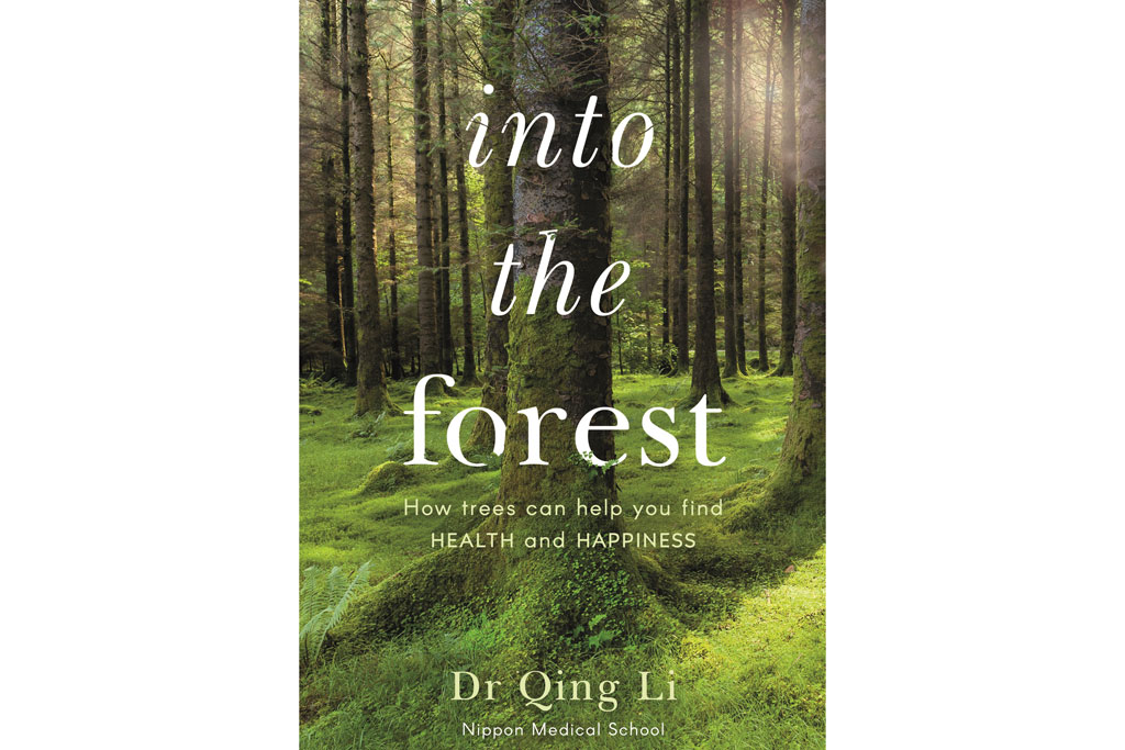 Into the Forest