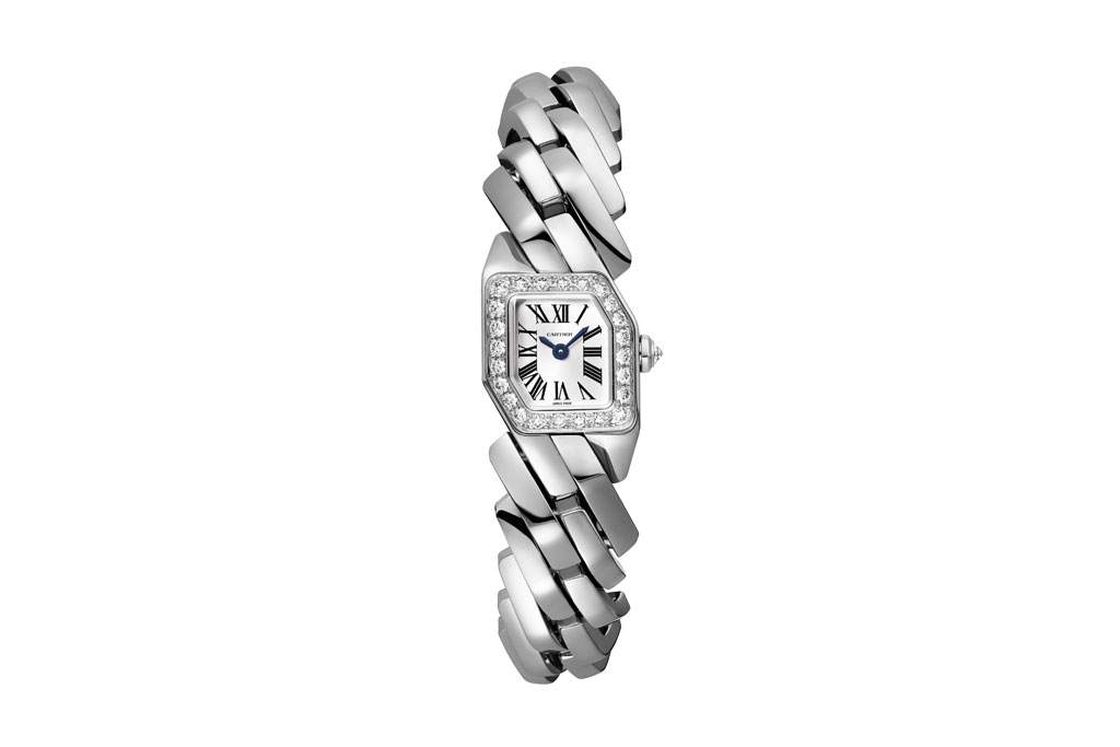 Cartier watch