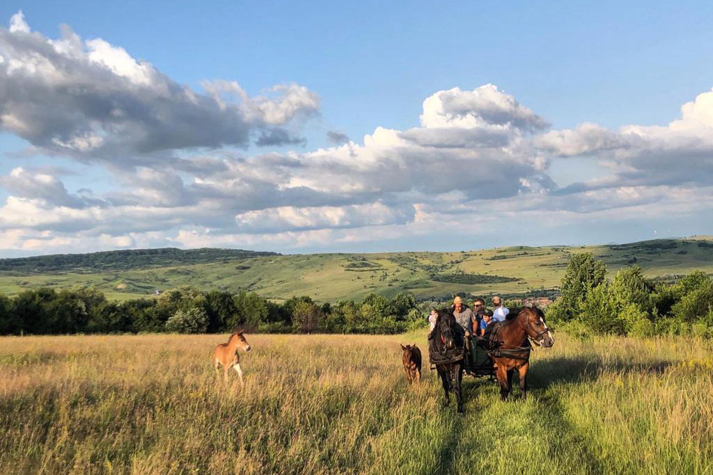 Slow Cyclist Transylvania