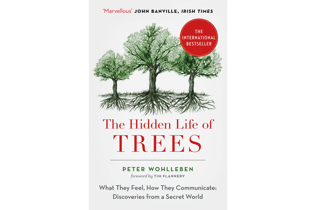 The Hidden Life of Trees
