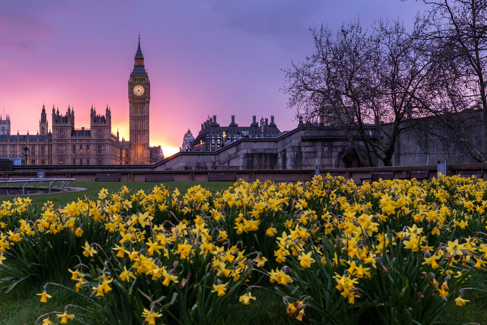 Flowers in London