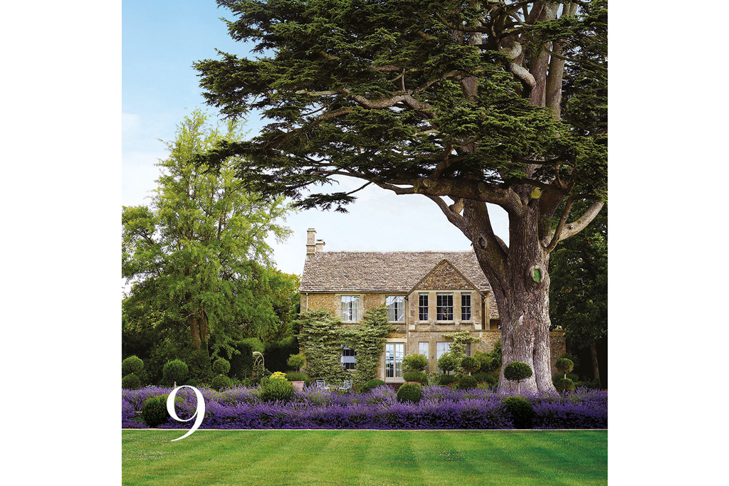 Country & Town House