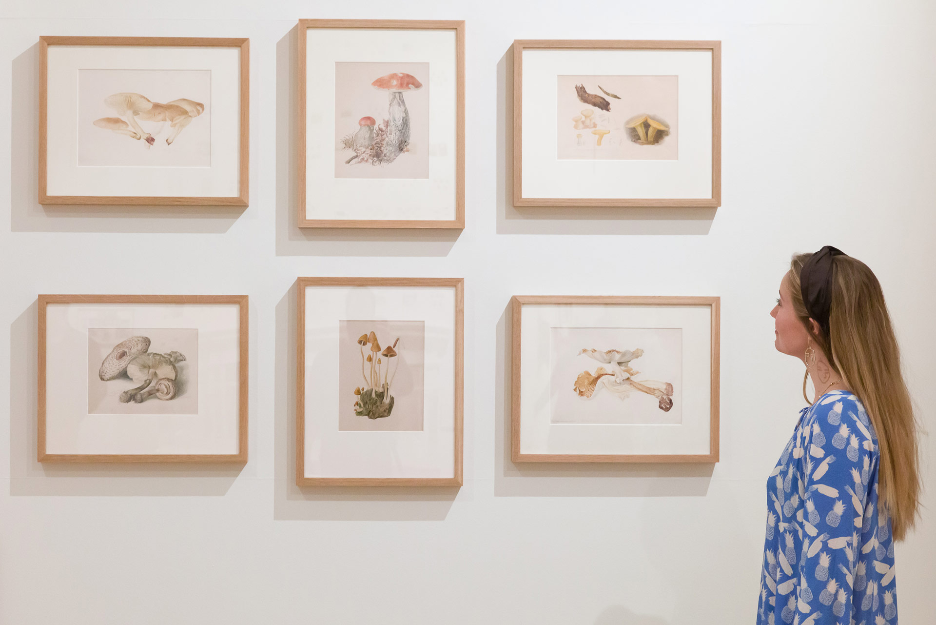Somerset House's Mushroom-Inspired Exhibition is Set to Go Virtual