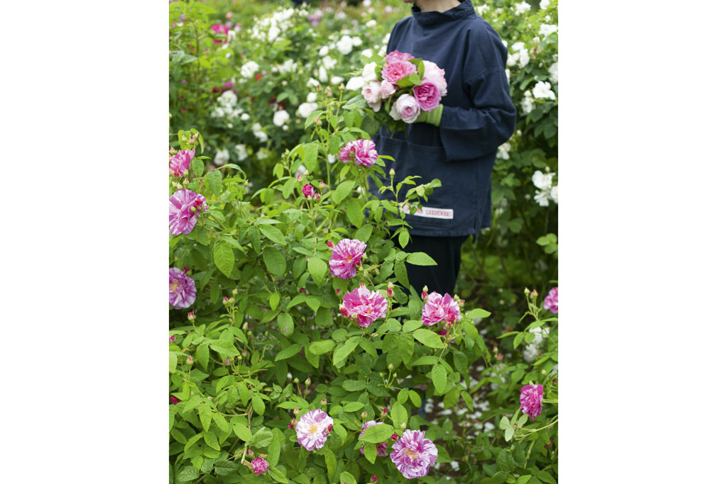 The Land Gardeners