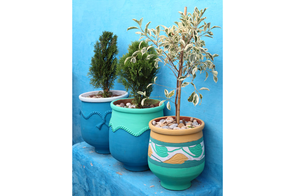Plant Pots