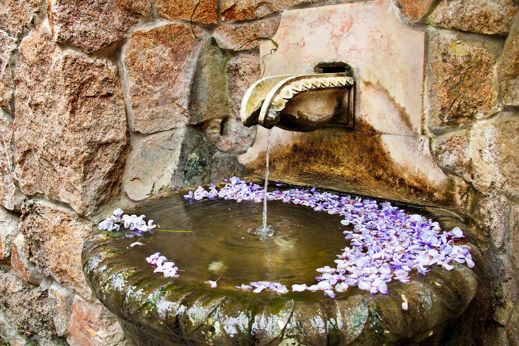 Garden Fountain