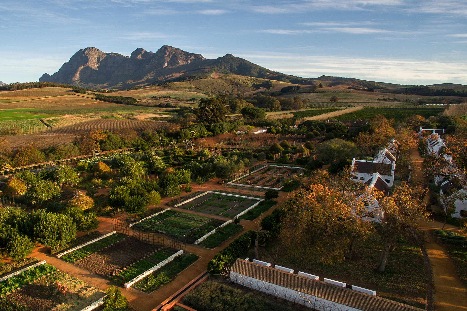 A birdseye view of Babylonstoren