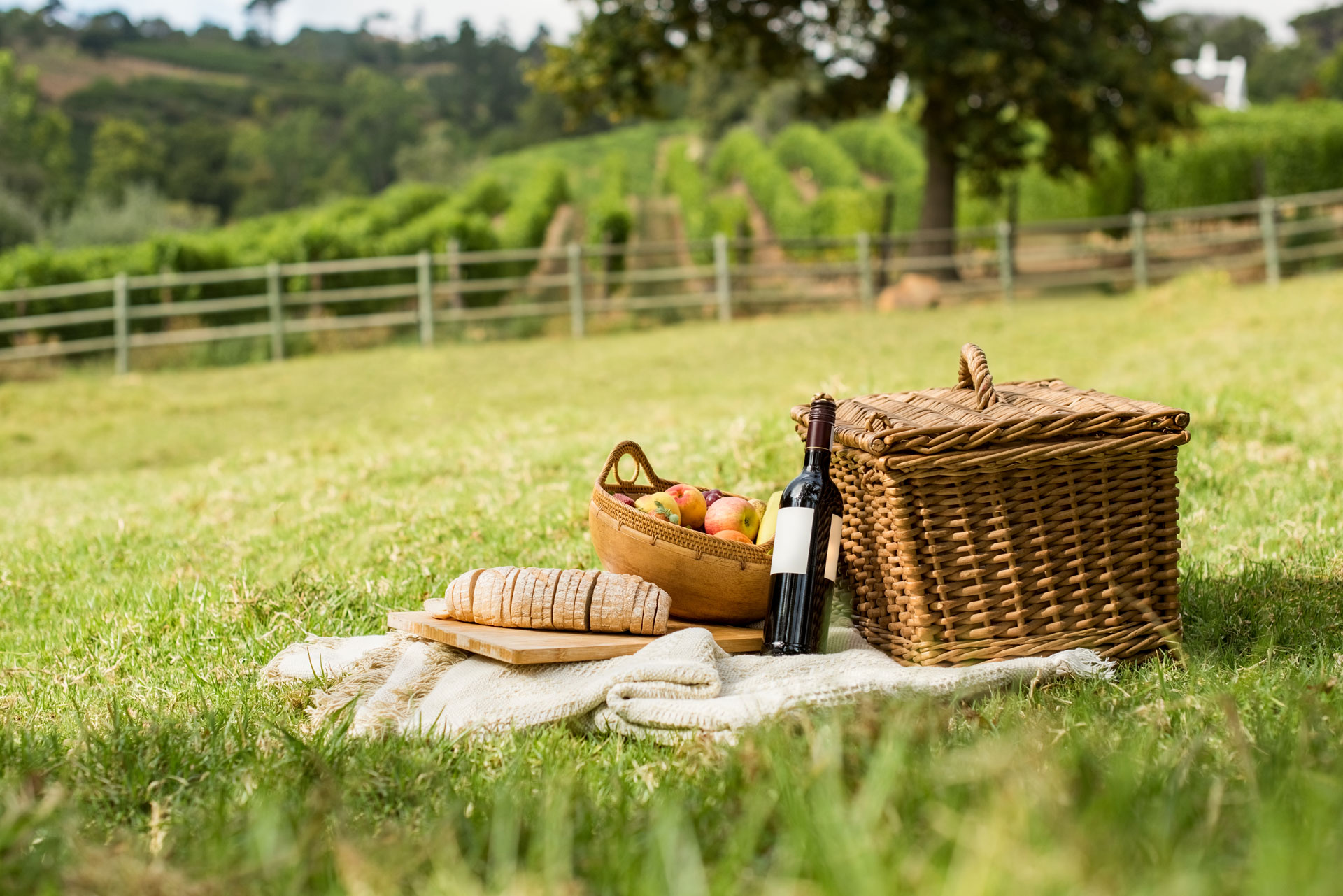 Picnic hamper
