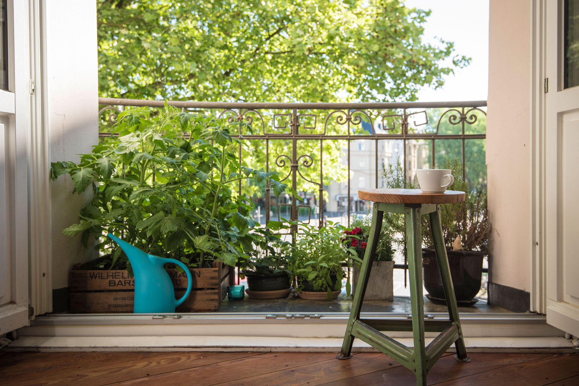 The C&TH Guide to Gardening in London