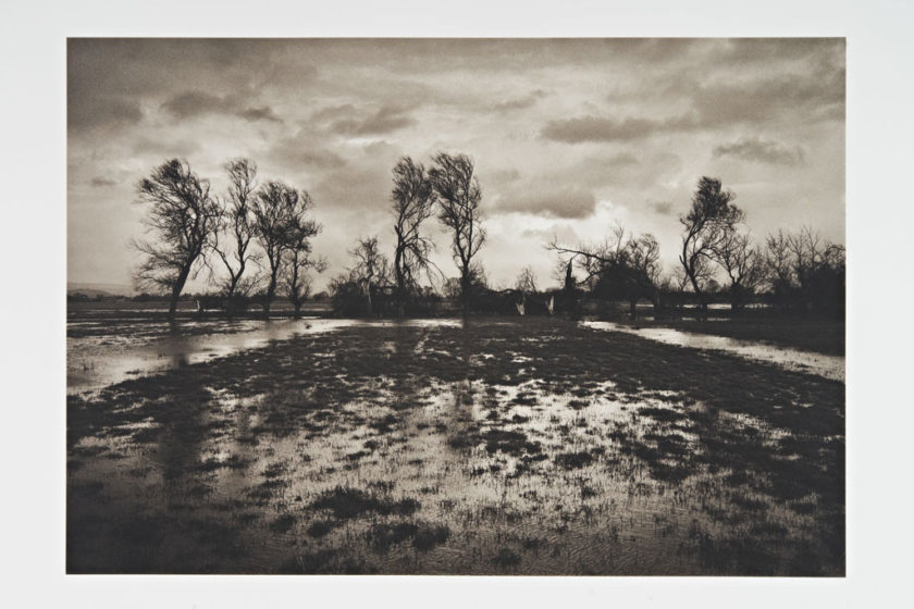 The Best Virtual Art Exhibitions 2021 Art & Culture