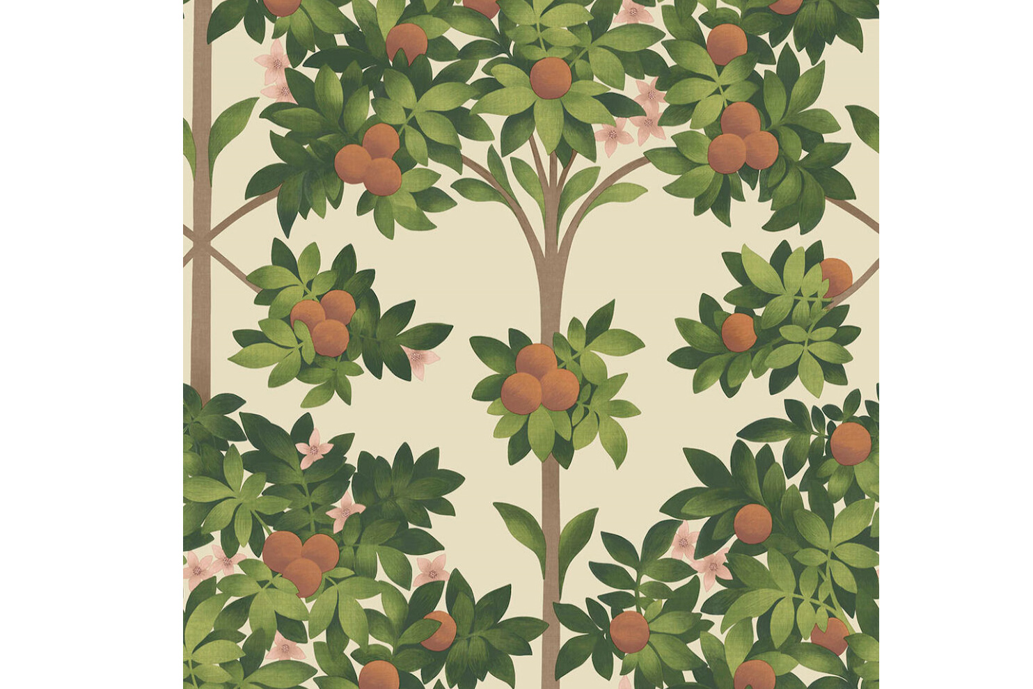 Cole and Son orange blossom botanical wallpaper