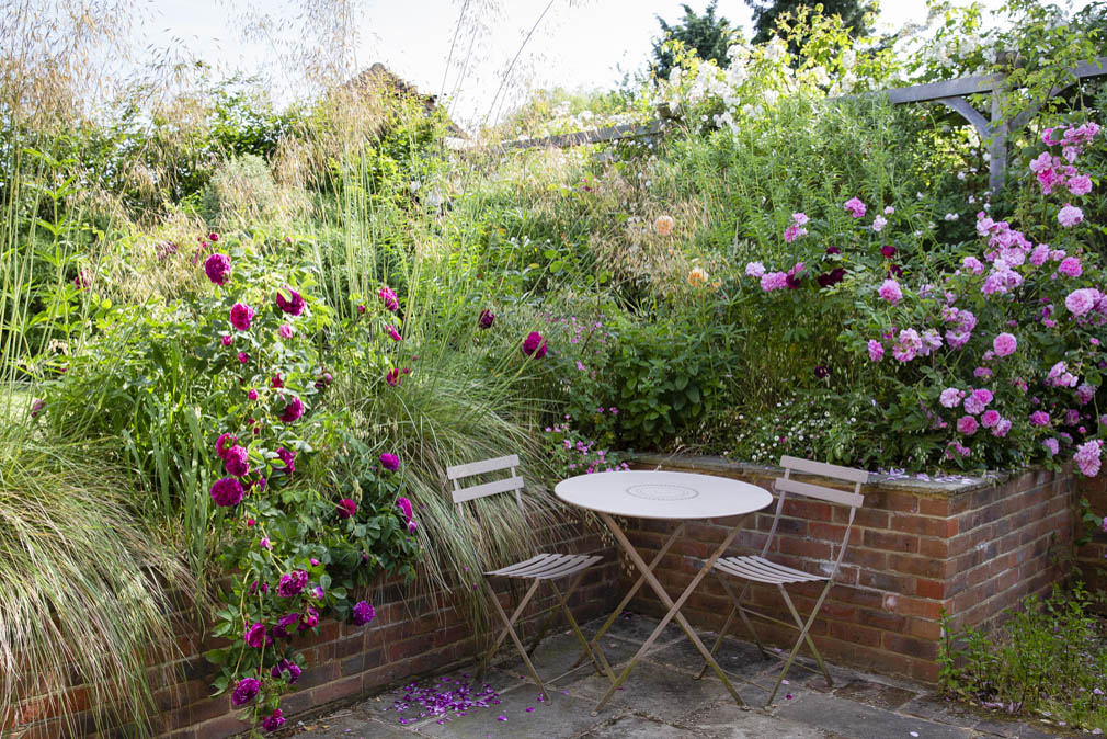 At Home With... Jo Thompson