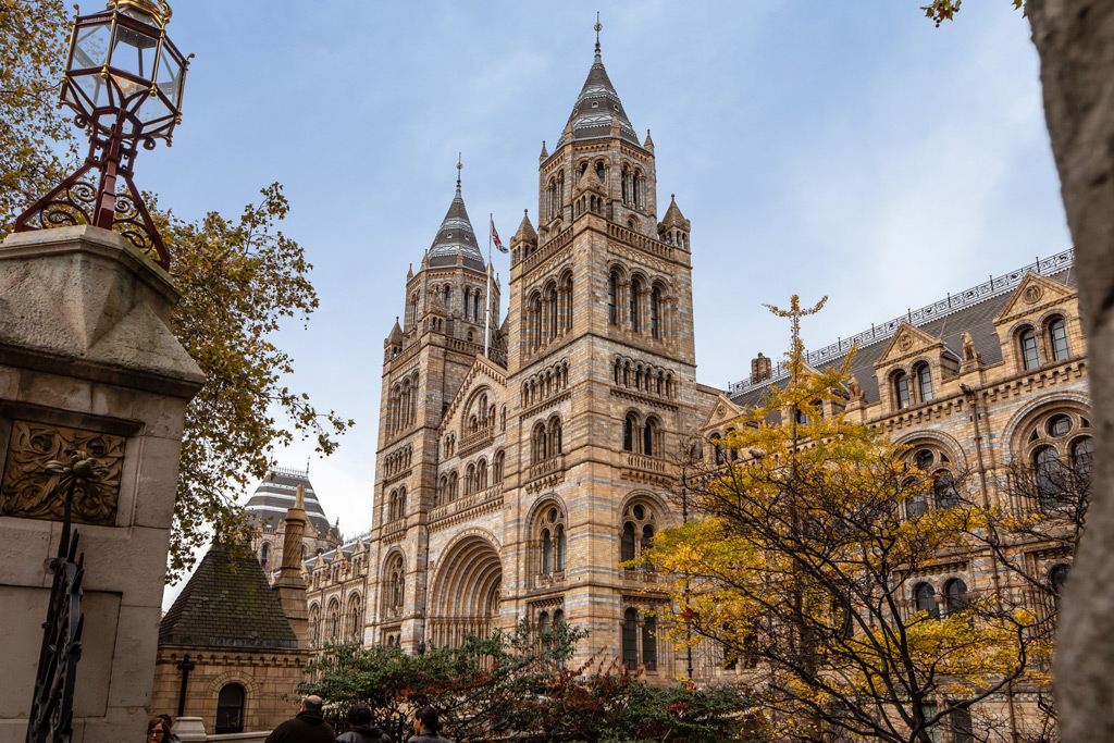 The Natural History Museum