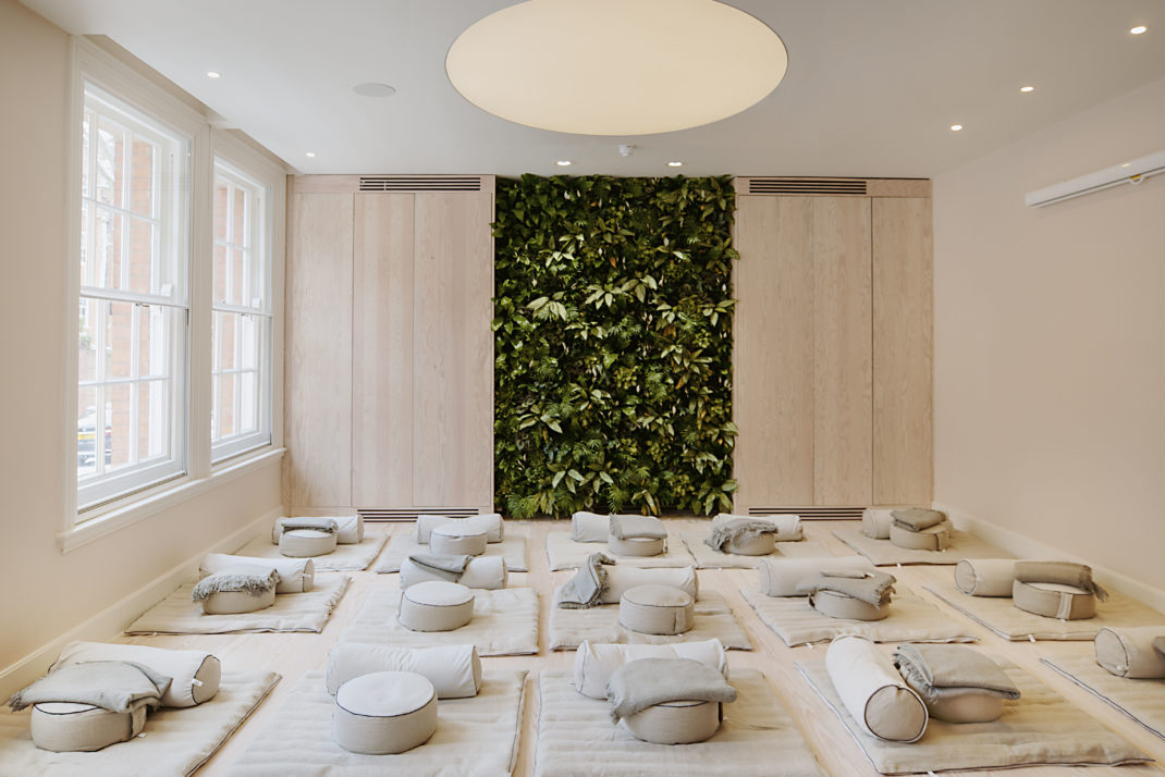 Yoga studio, plant wall