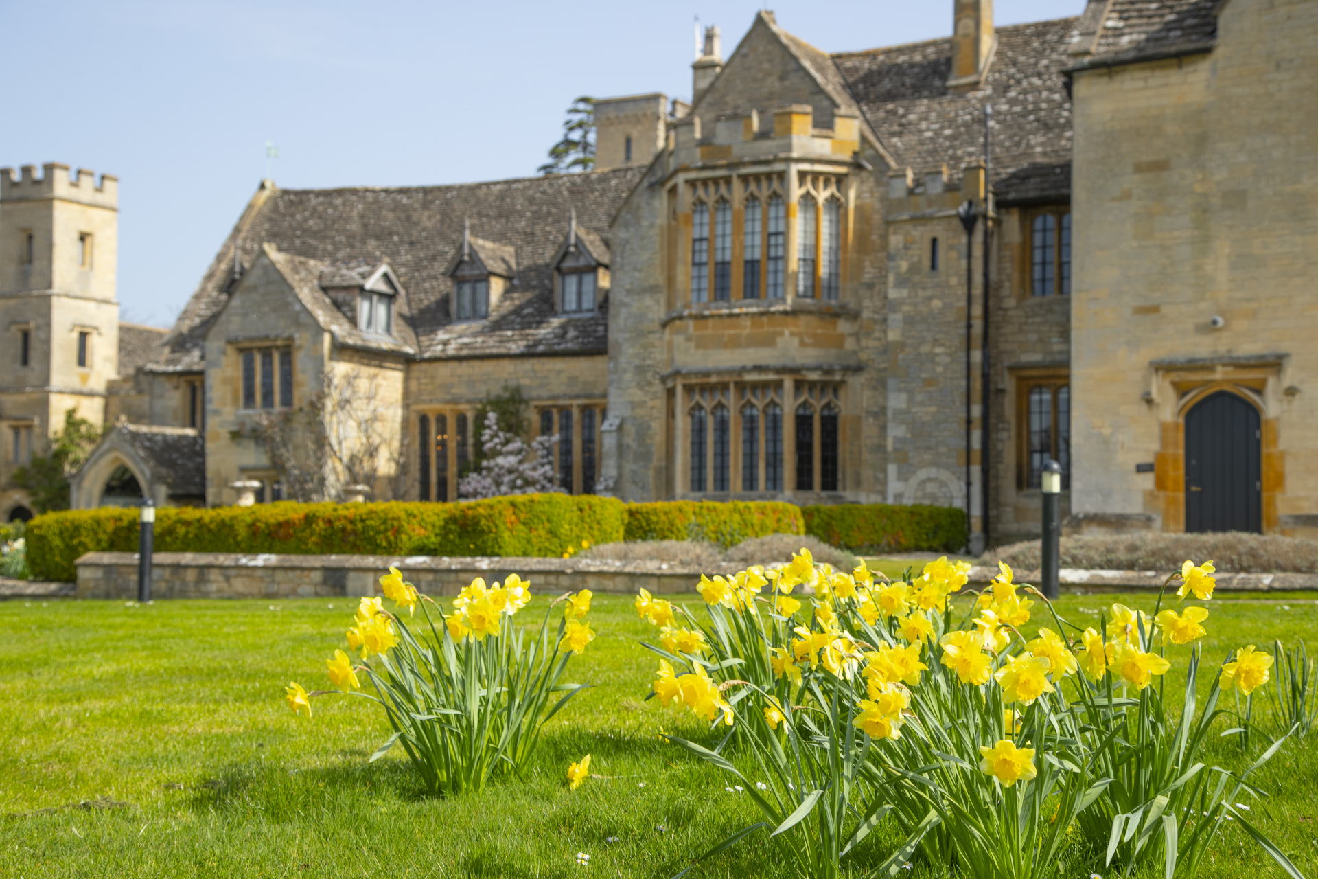 Ellenborough Park