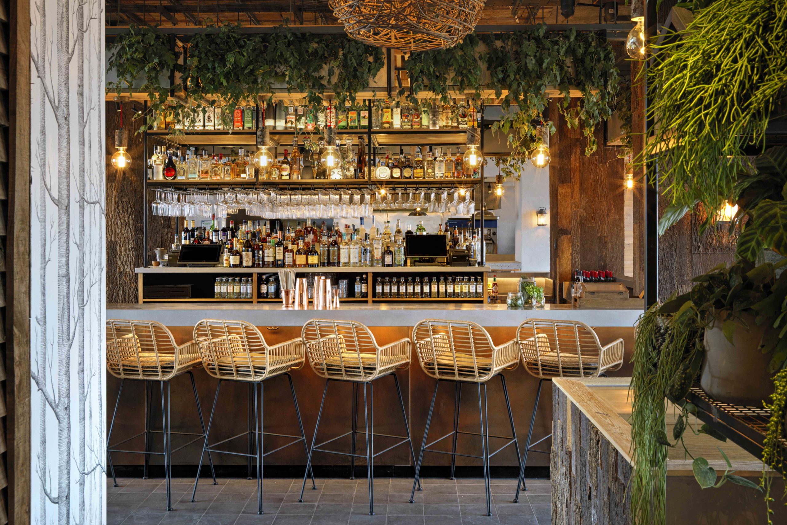 City Staycation: Treehouse in Marylebone