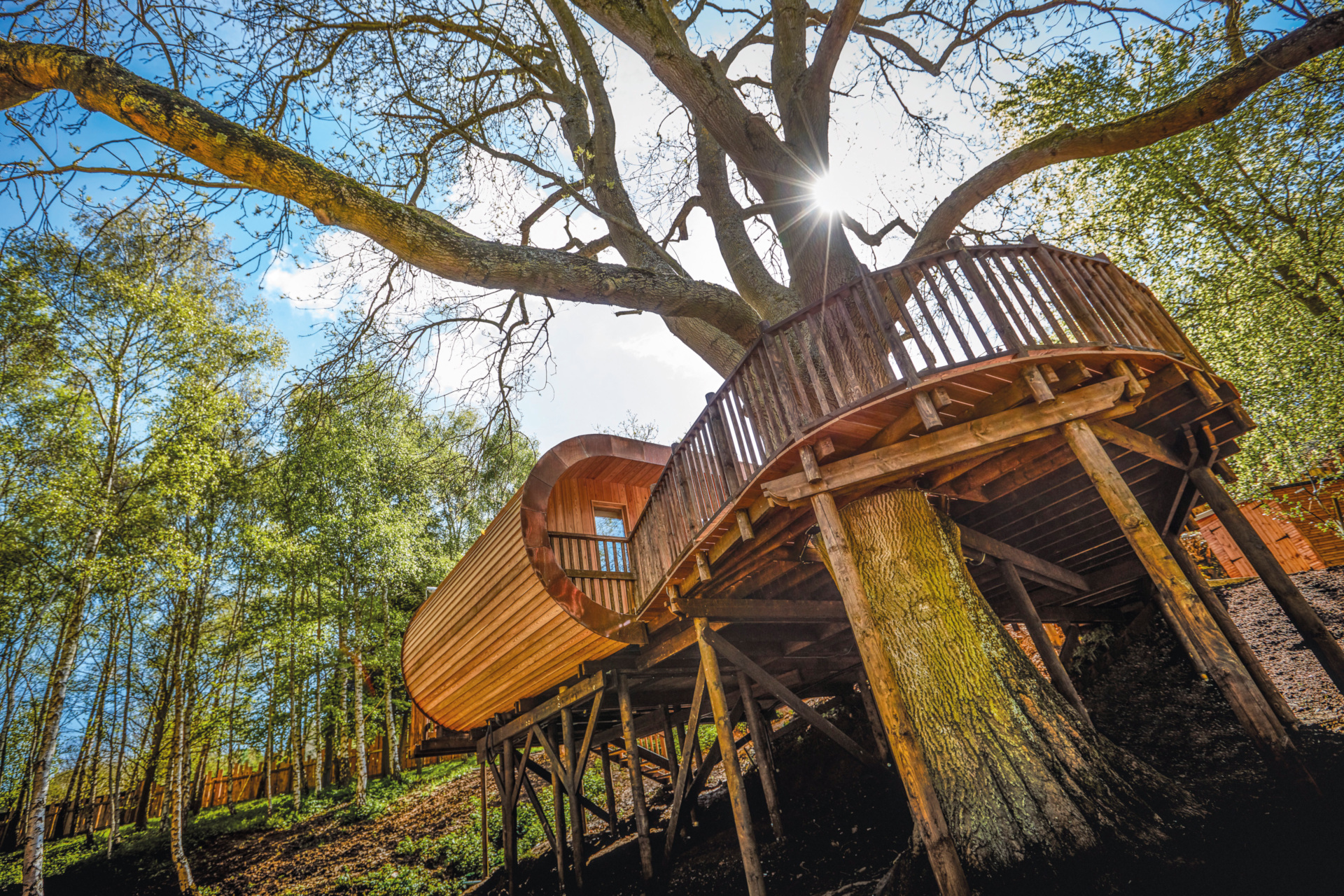 Treehouse