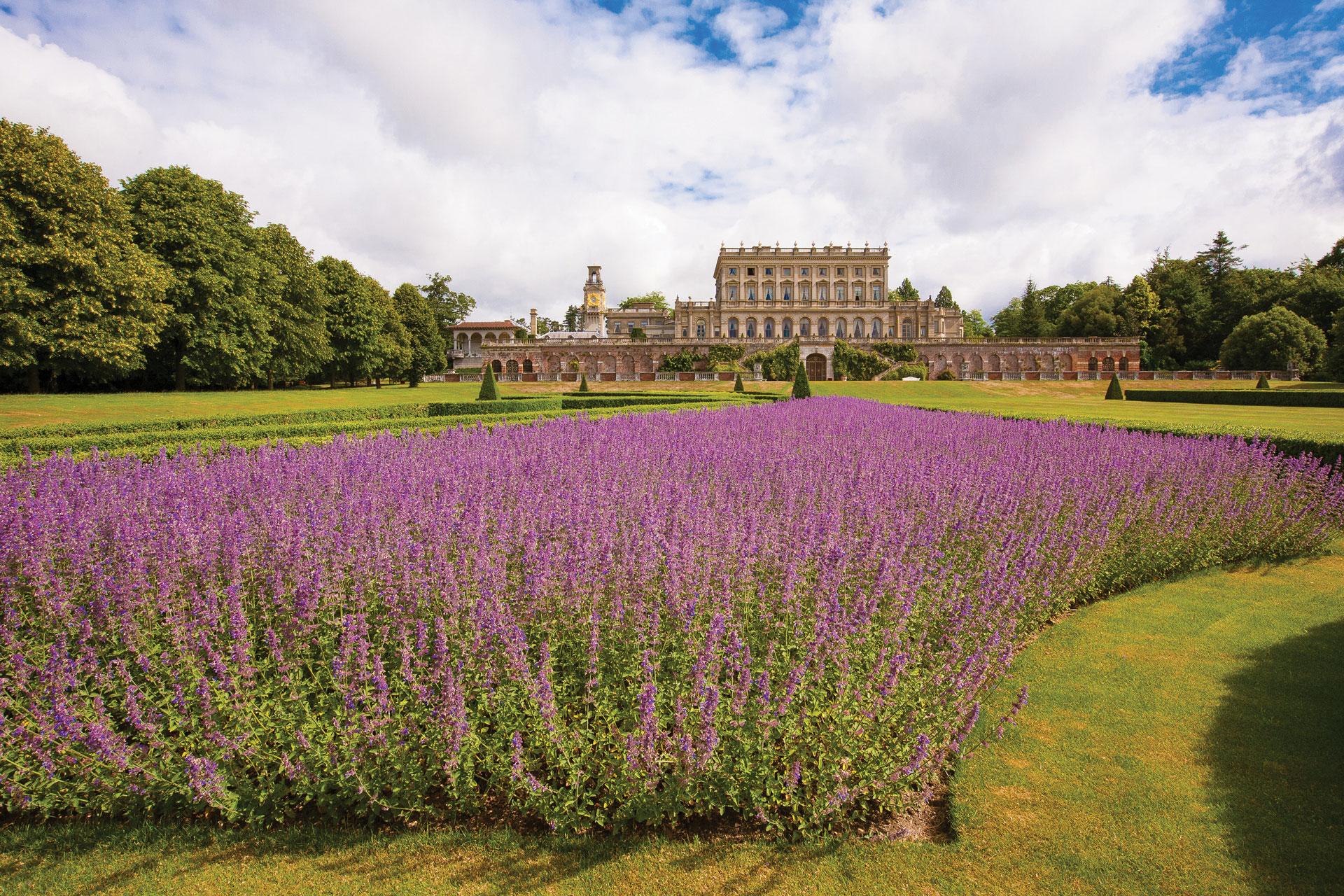 Cliveden House with lavender