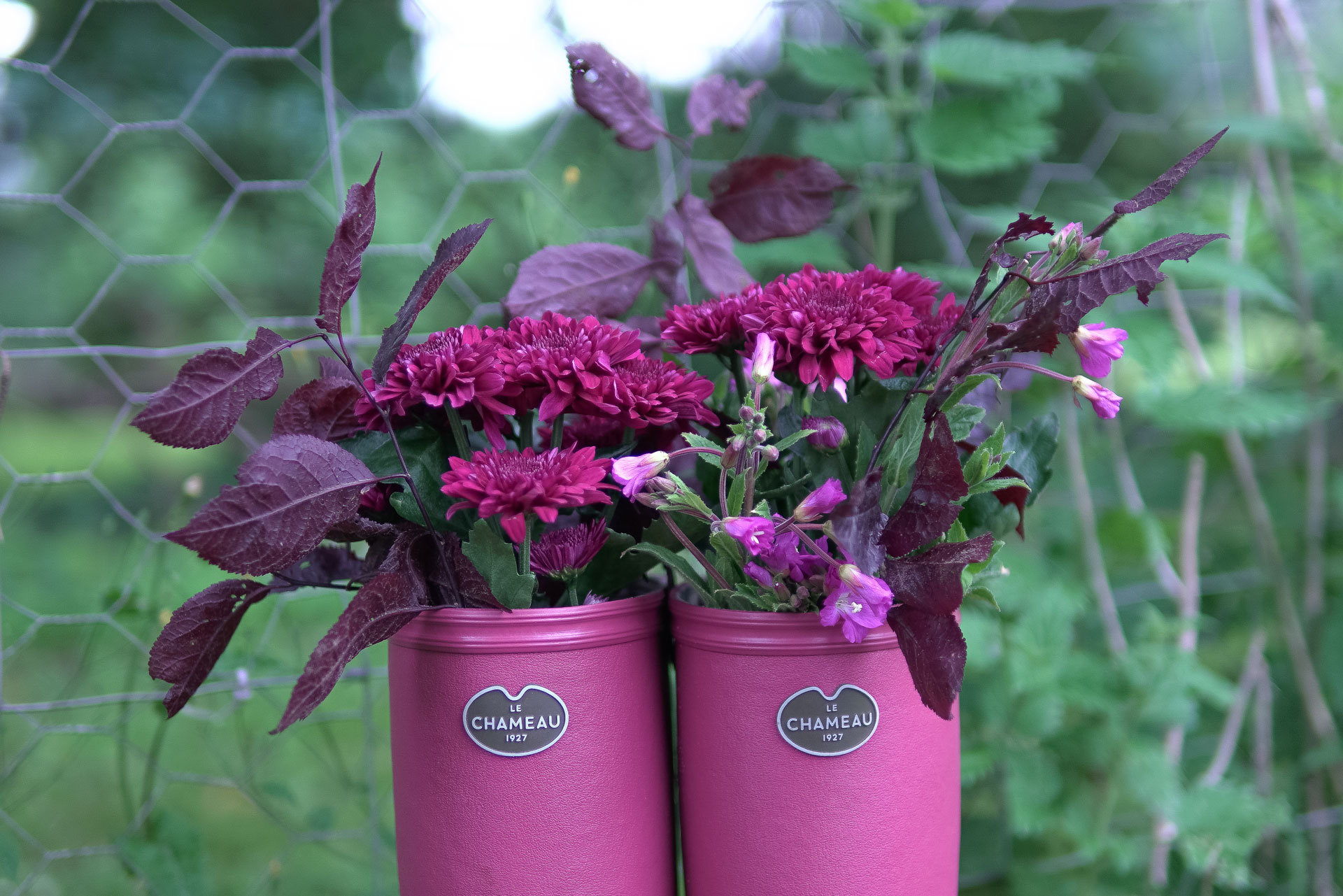 In The Garden With... Chris Beardshaw