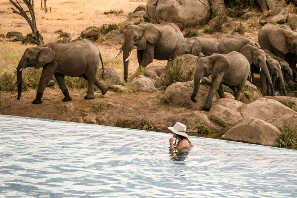 Four Seasons Safari Lodge Serengeti