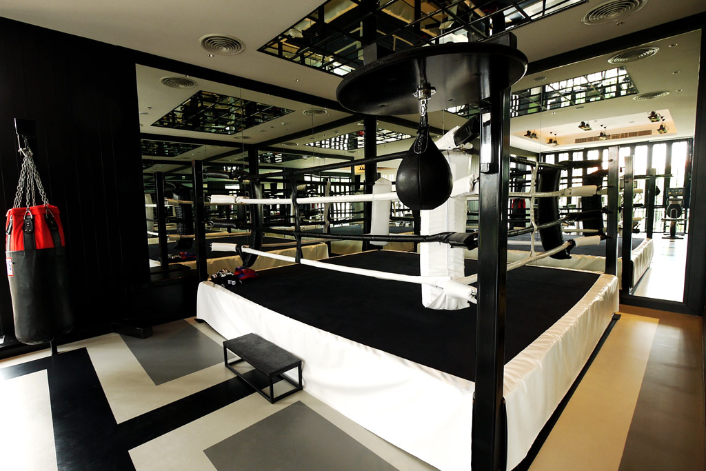 Luxury Gyms