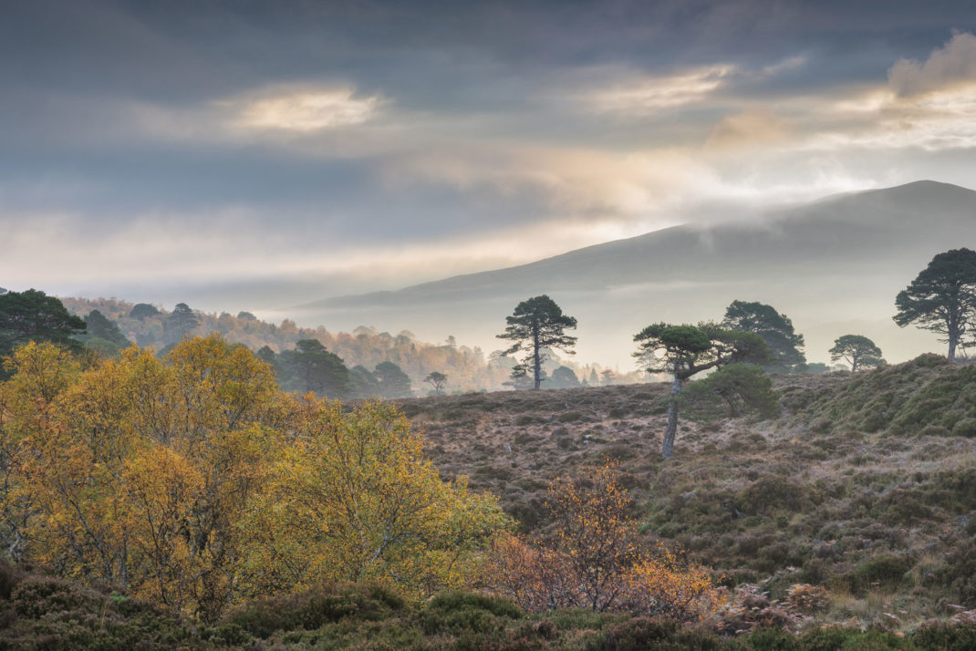 Alladale, Scotland