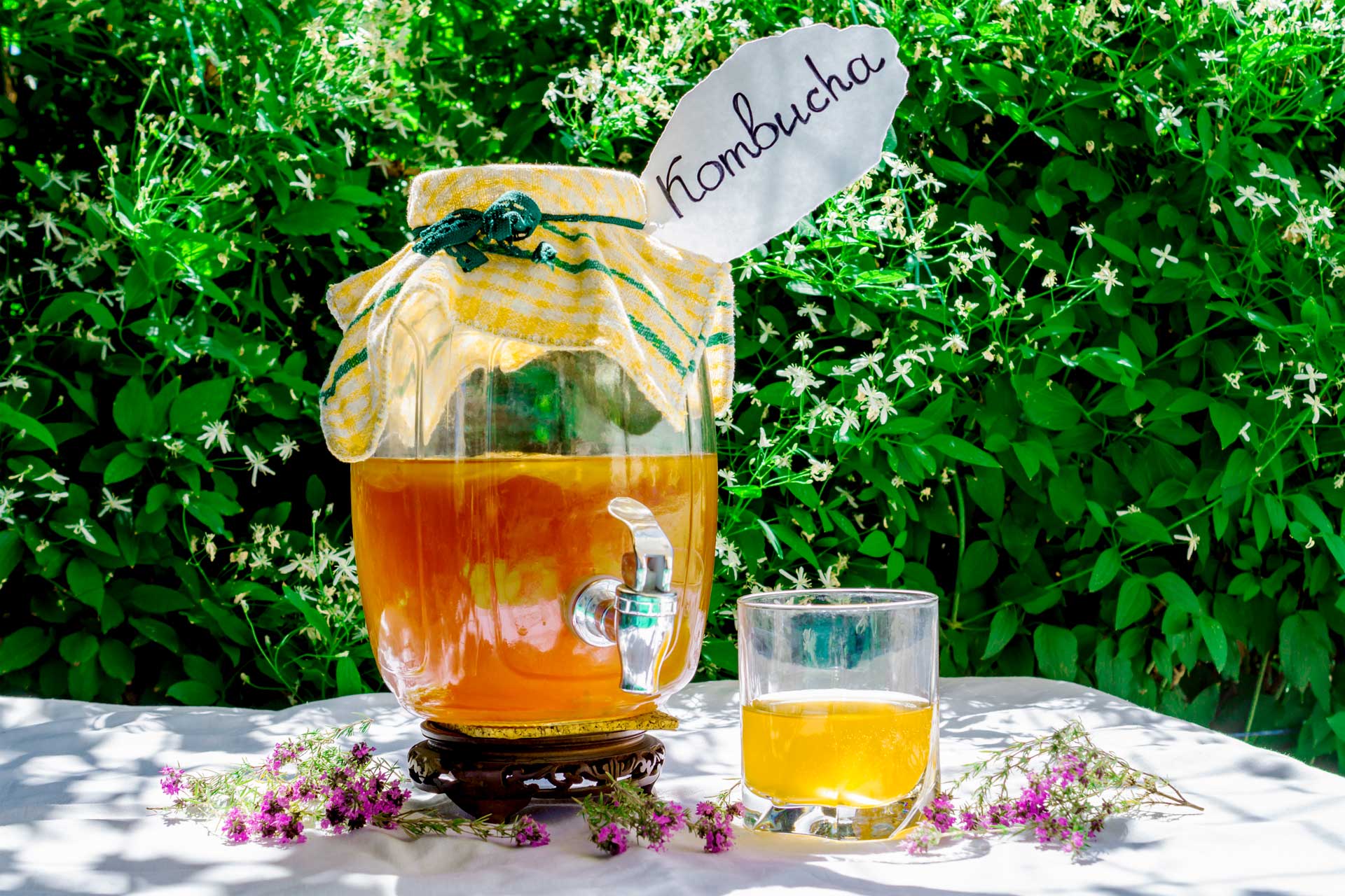 Kombucha