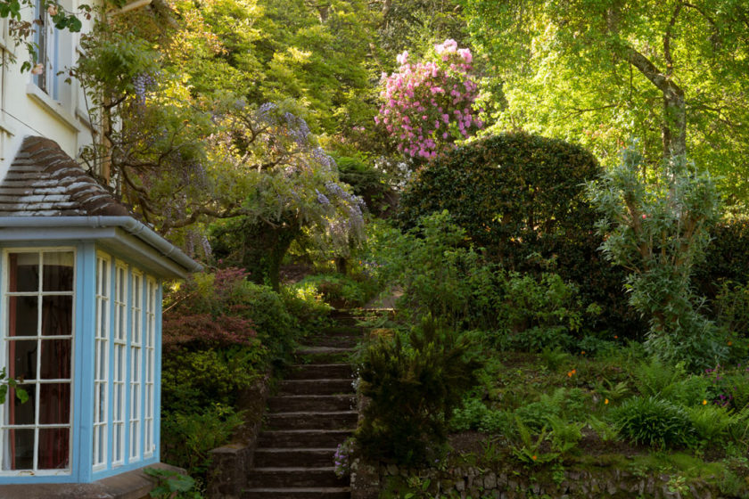 The Secret Gardens of Somerset A Guide Travel